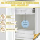 Scentfume Air Refrehener-Scented Saches