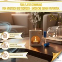 Scentfume Fragrance Oil Discovery Set -2Ml -5 pieces-Total 10 ml