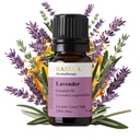 Lavendelöl, ätherisches Öl, 100% Rein, BIO, natürlich, 10 ml