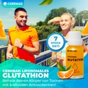 CERENAD GLUTATYON