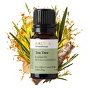 Teebaumöl, ätherisches Öl, 100% Rein, BIO, natürlich, 10 ml