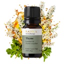 Thymianöl, ätherisches Öl, 100% Rein, BIO, natürlich, 10 ml
